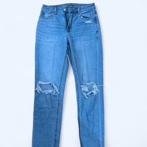 American Eagle Outfitters Blue Straight Leg Jeans